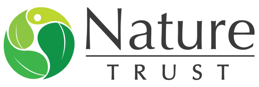 Natsport LLP